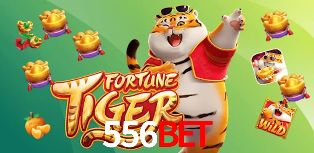 Sports Statistics 556bet